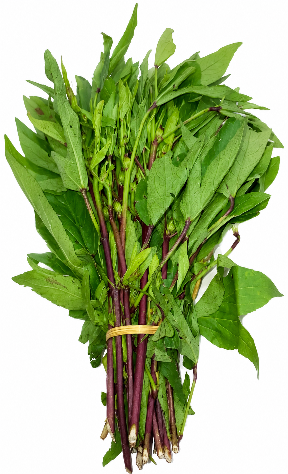 Thok Pata
